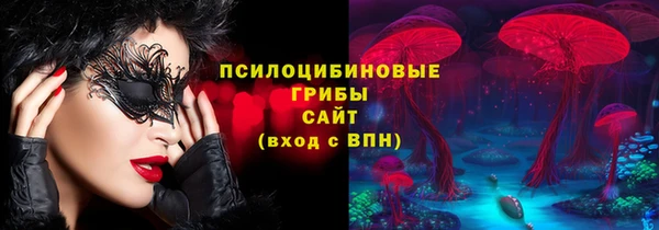 стафф Алексин