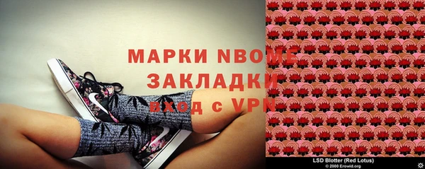 стафф Алексин