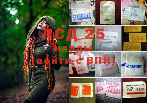 сатива Магадан